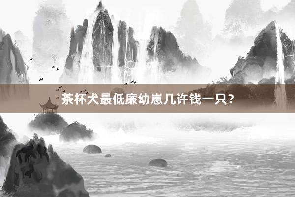 茶杯犬最低廉幼崽几许钱一只？