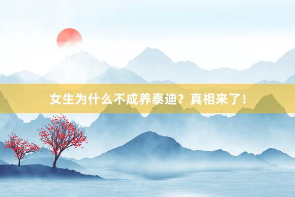 女生为什么不成养泰迪？真相来了！