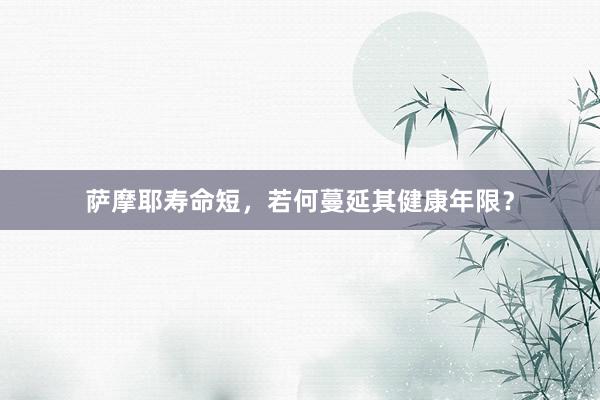 萨摩耶寿命短，若何蔓延其健康年限？