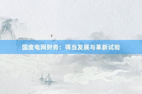 国度电网财务：得当发展与革新试验